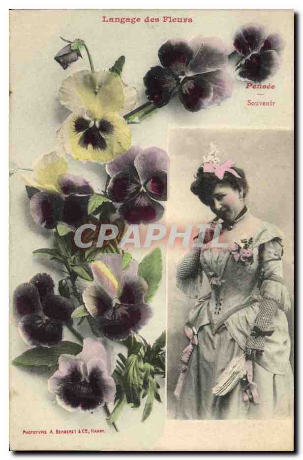 Pensée — Souvenir — Langage des Fleurs — Phototypie A. Benenet & Cie, Nancy