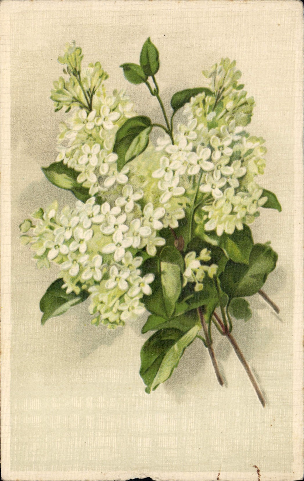 CPA Fantaisie Fleurs 