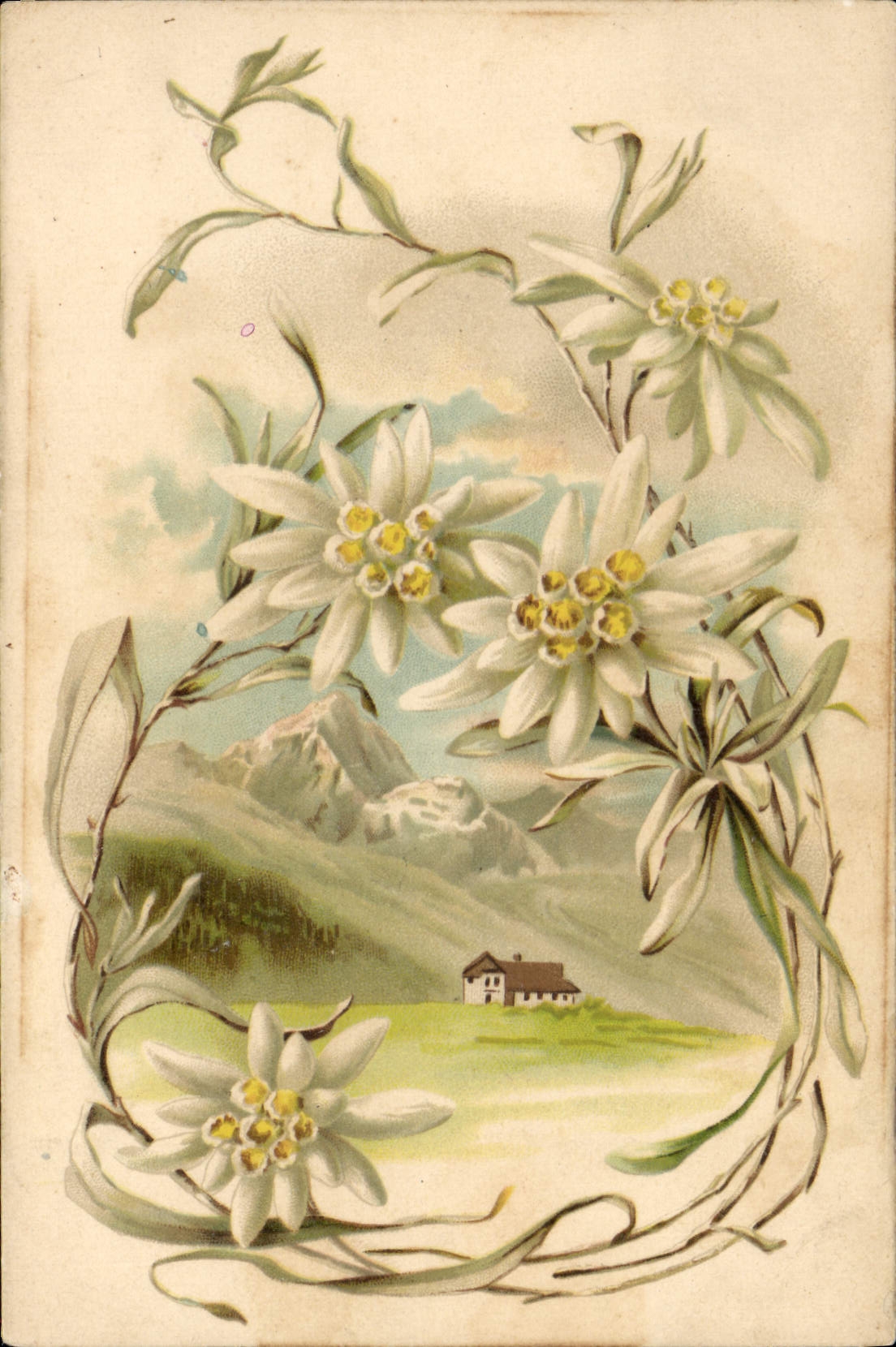 CPA Fantaisie Fleurs 