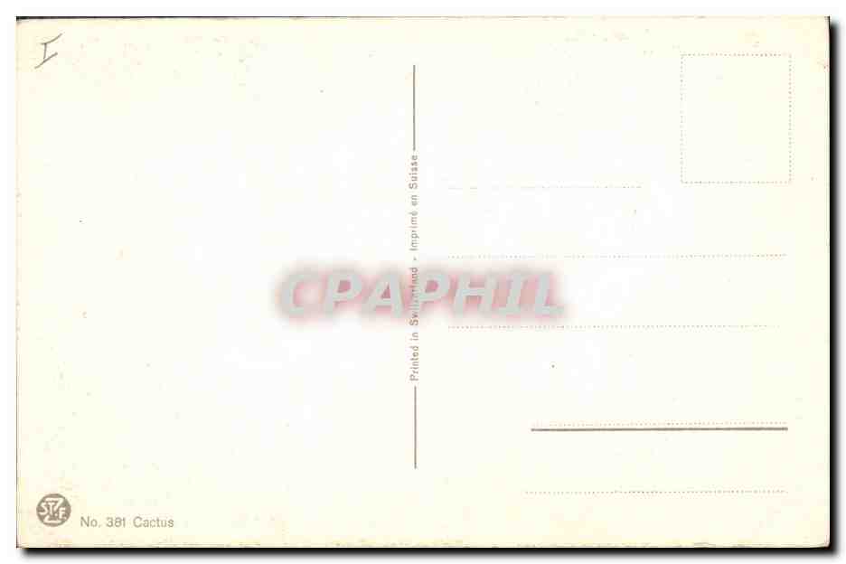 CPA Fantaisie Fleurs Cactus  — Verso
