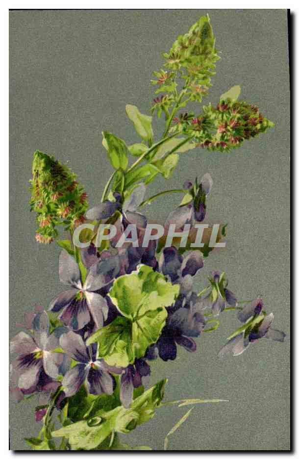 CPA Fantaisie Fleurs 
