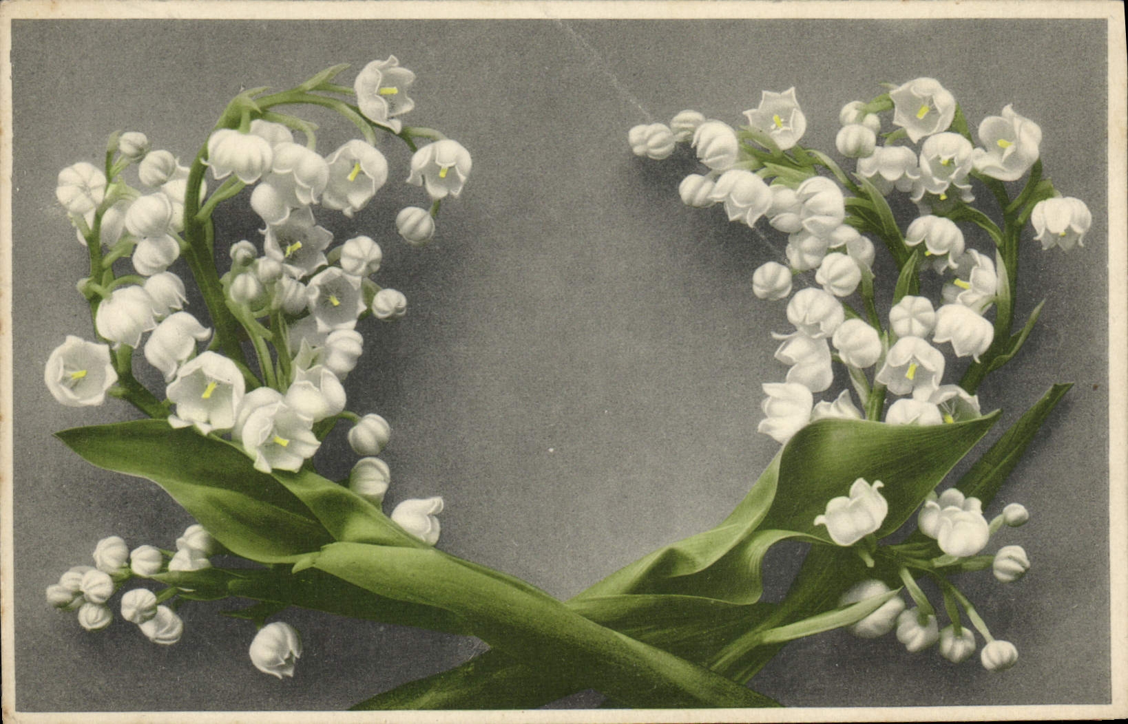 CPA Fantaisie Fleurs Muguet 