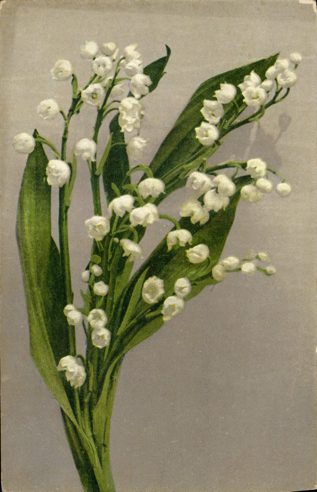 Lily of the Valley — bouquet — série K n° 86, fabriquée en Suisse