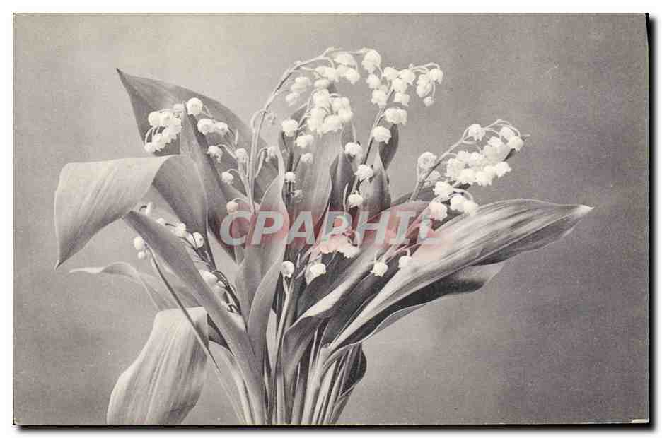 CPA Fantaisie Fleurs Muguet 