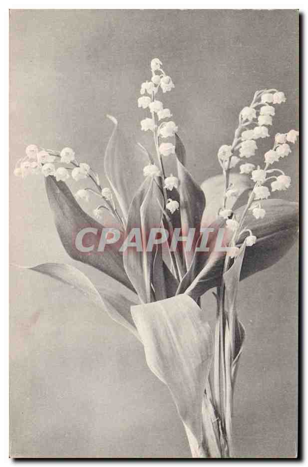 CPA Fantaisie Fleurs Muguet 