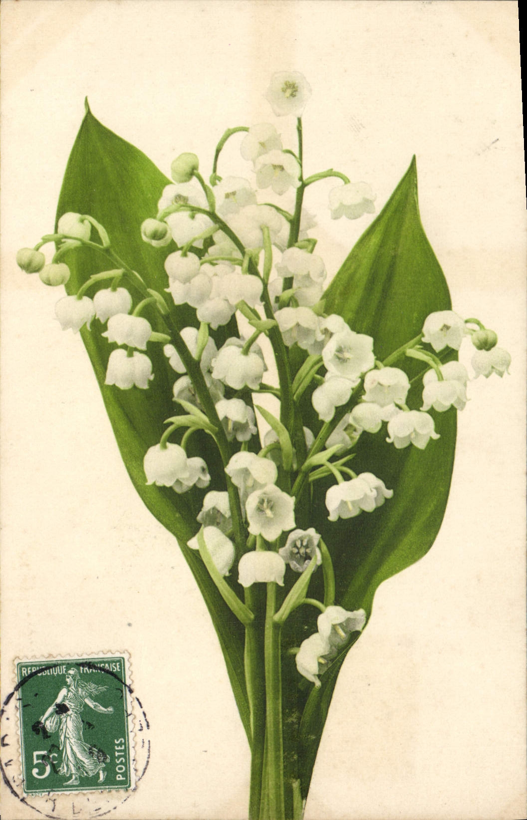 CPA Fantaisie Fleurs Muguet 