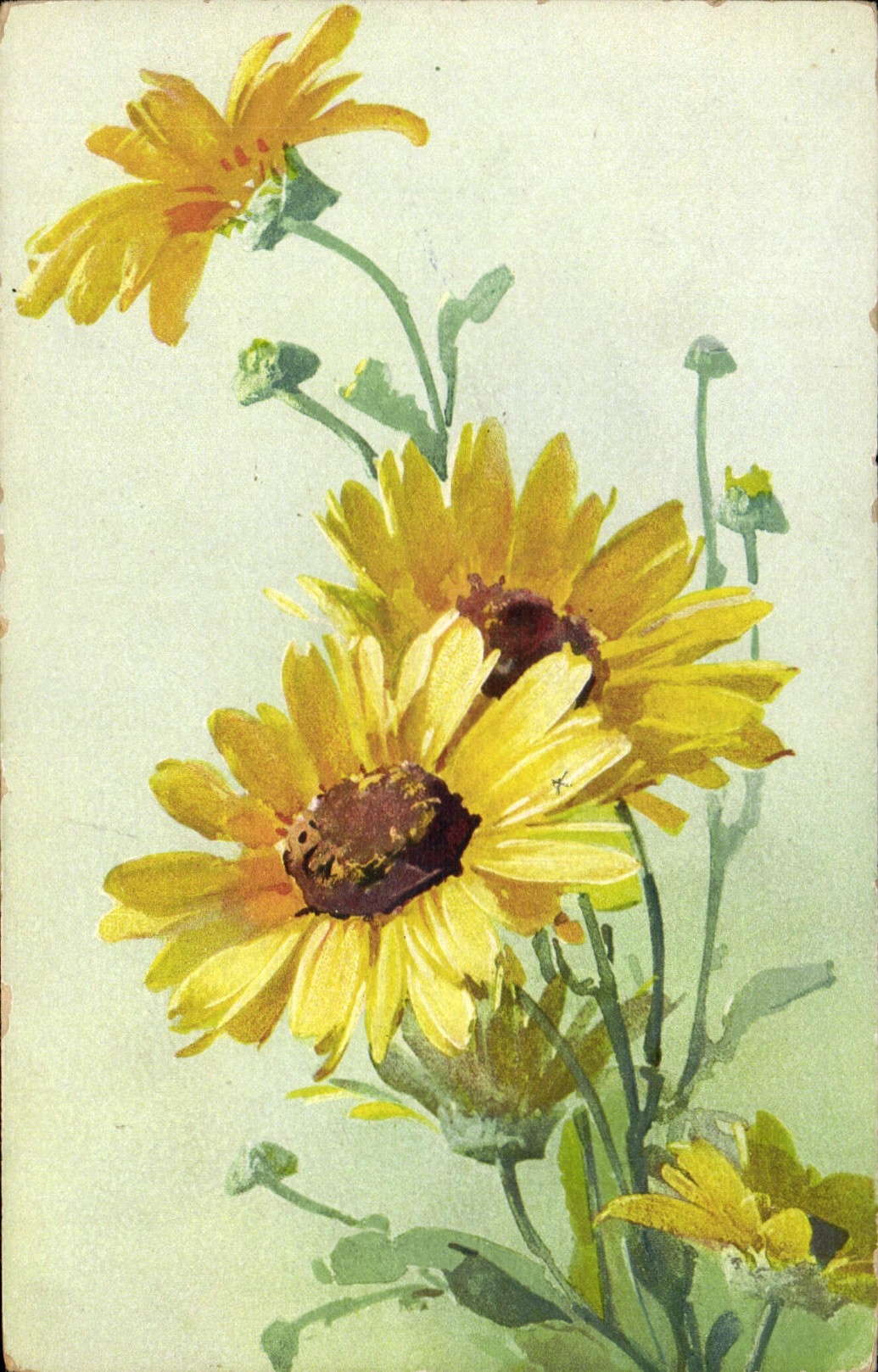CPA Fantaisie Fleurs 