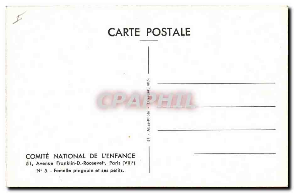 CPM Femelle pingouin et ses petits  — Rückseite