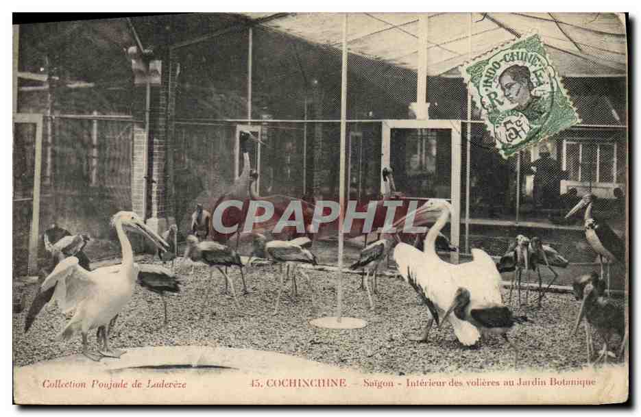 Intérieur des volières au Jardin Botanique — Saïgon — Collection Poujade de Laudereze