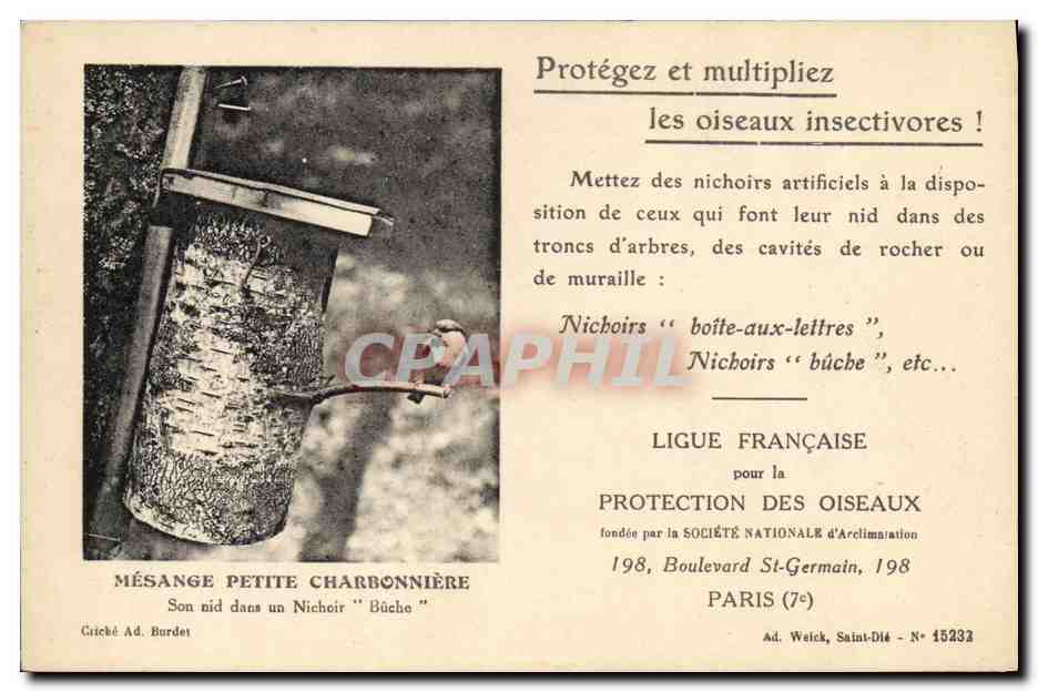 Mésange petite charbonnière — Son nid dans un nichoir "bûche" — Ligue Française pour la Protection des Oiseaux