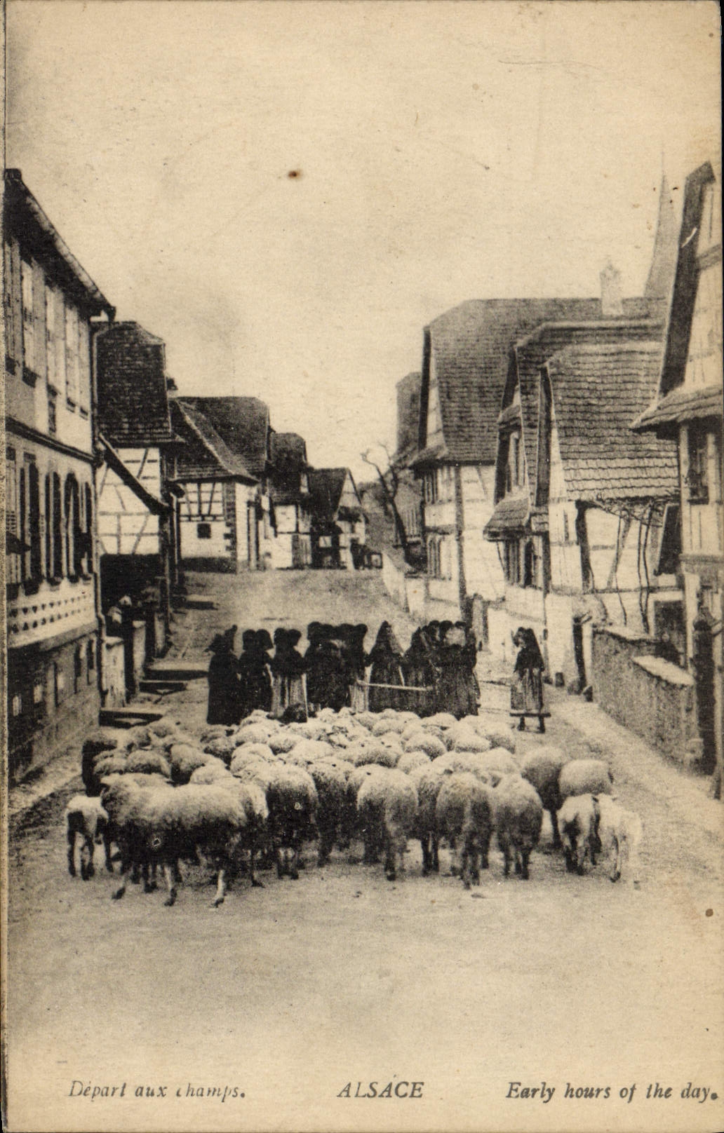 CPA Folklore Alsace Depart aux champs