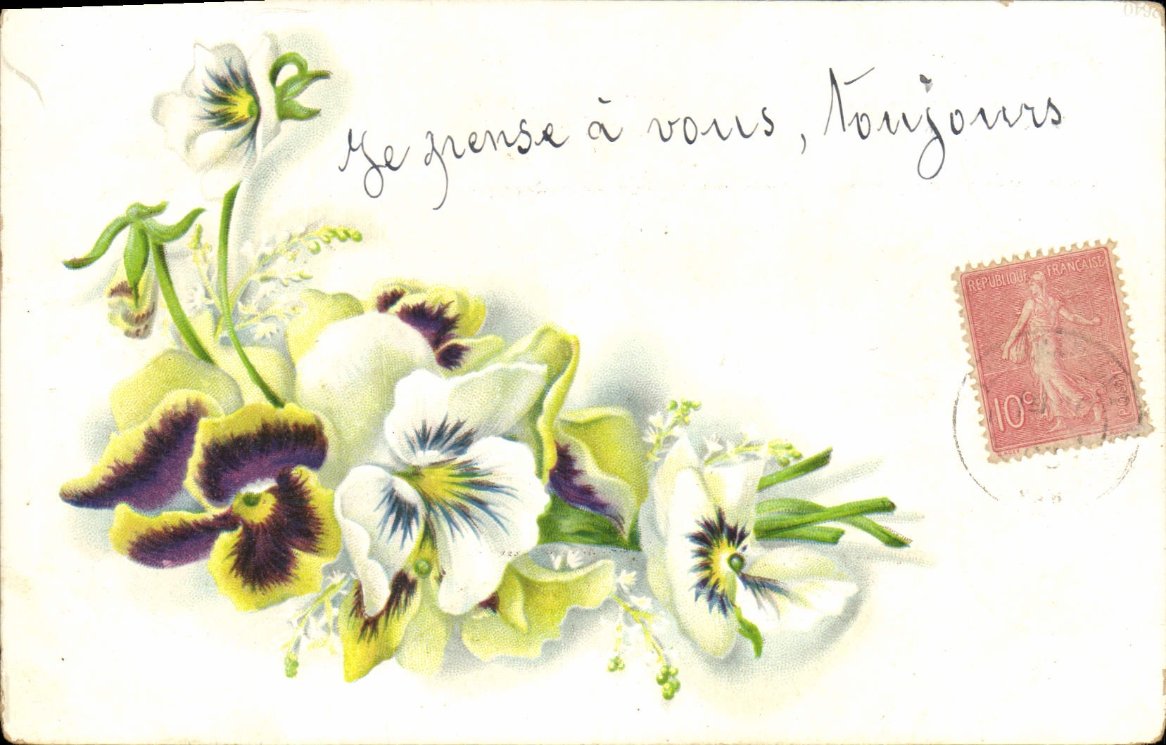 Pansées colorées — carte postale française — éditeur non visible