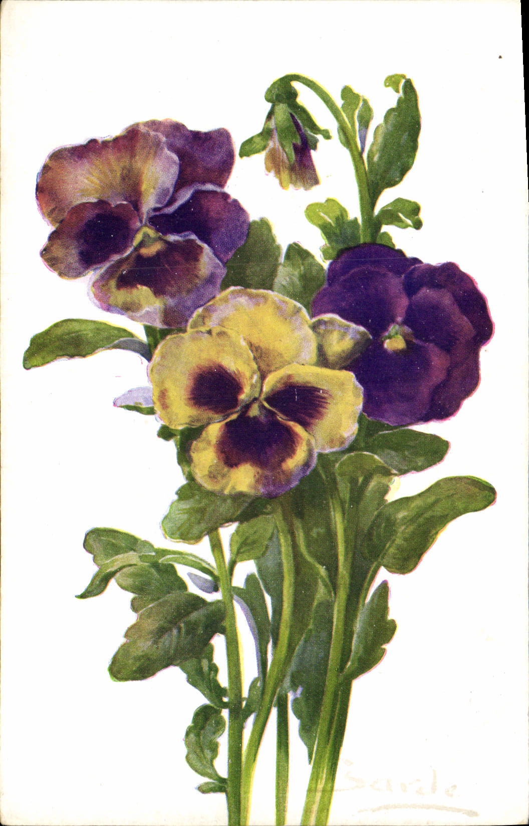 CPA Fantaisie Fleurs 