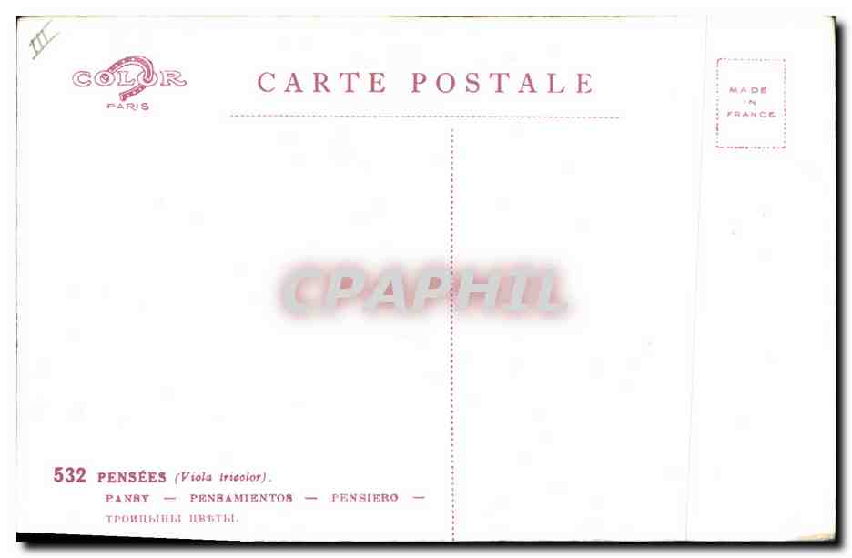 CPA Fantaisie Fleurs  — Rückseite