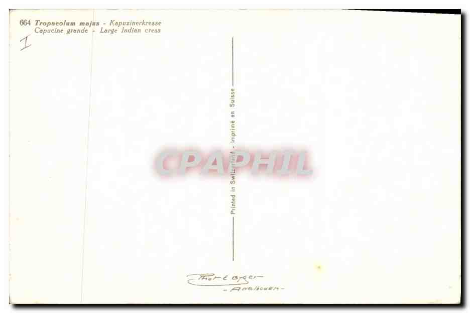 CPA Fantaisie Fleurs Capucine grande — Verso