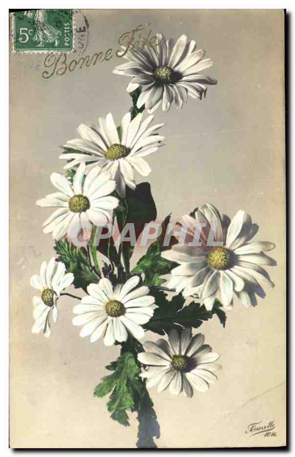 CPA Fantaisie Fleurs 