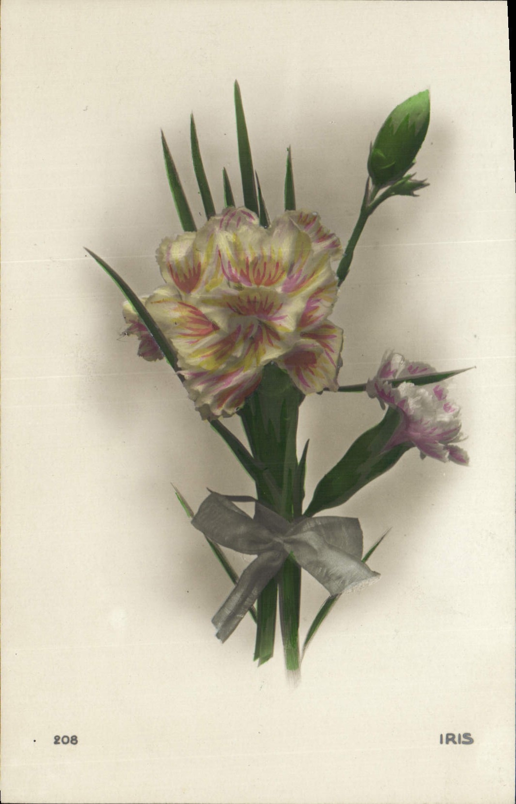 CPA Fantaisie Fleurs Iris