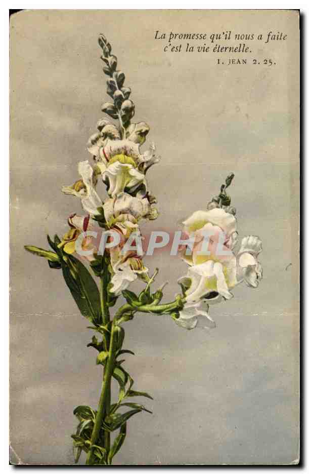 CPA Fantaisie Fleurs 