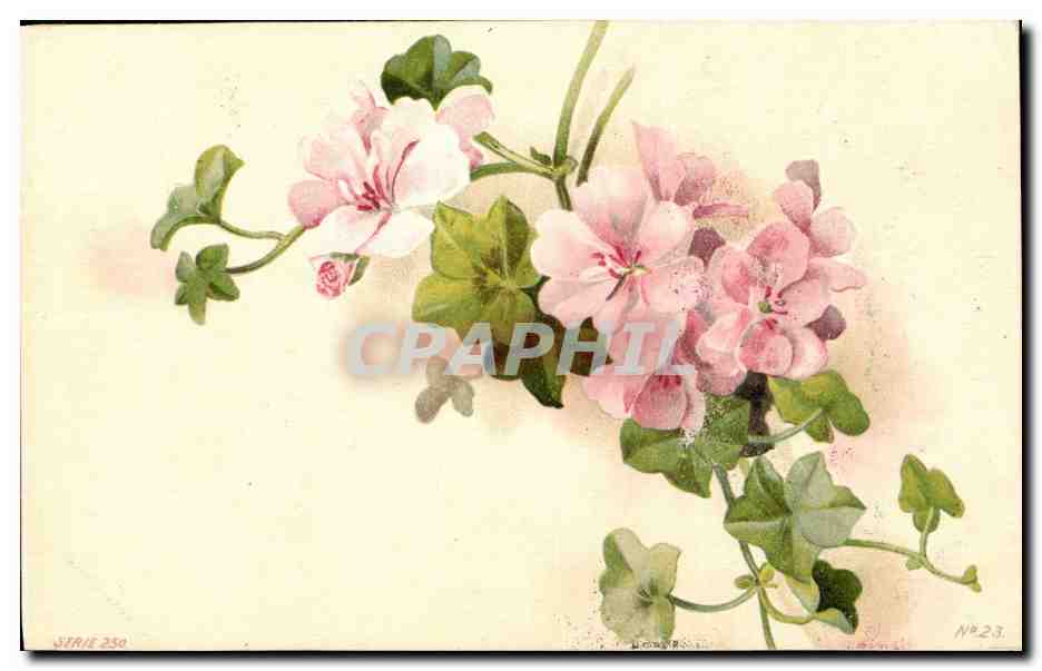 CPA Fantaisie Fleurs 