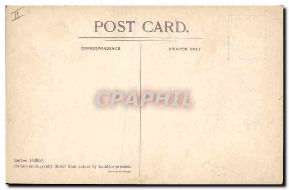 CPA Fantaisie Fleurs  — Verso