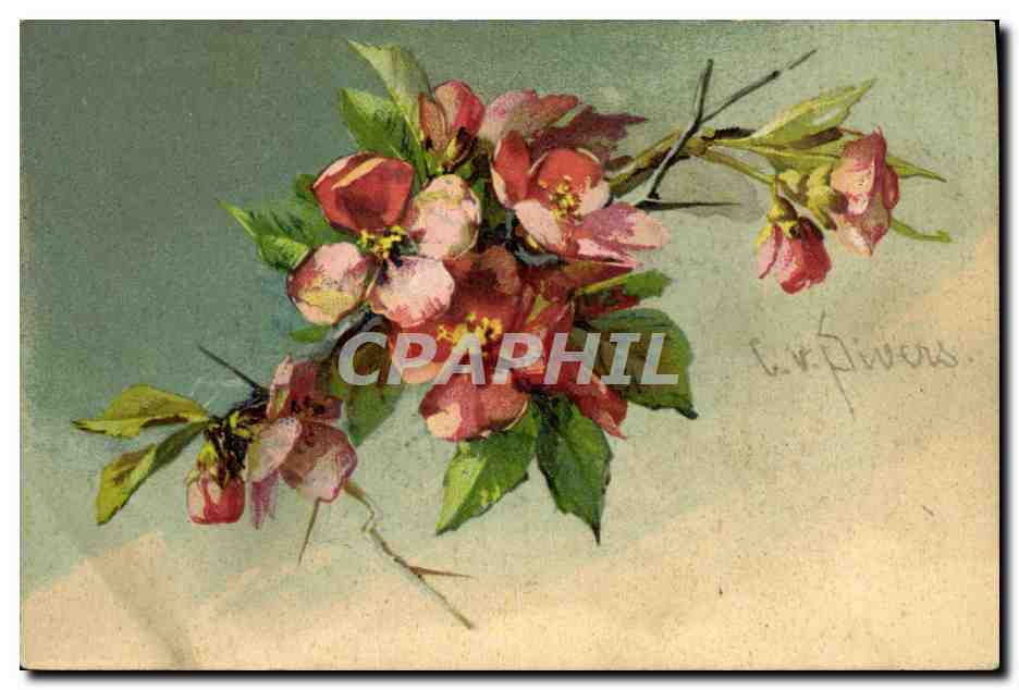 CPA Fantaisie Fleurs 