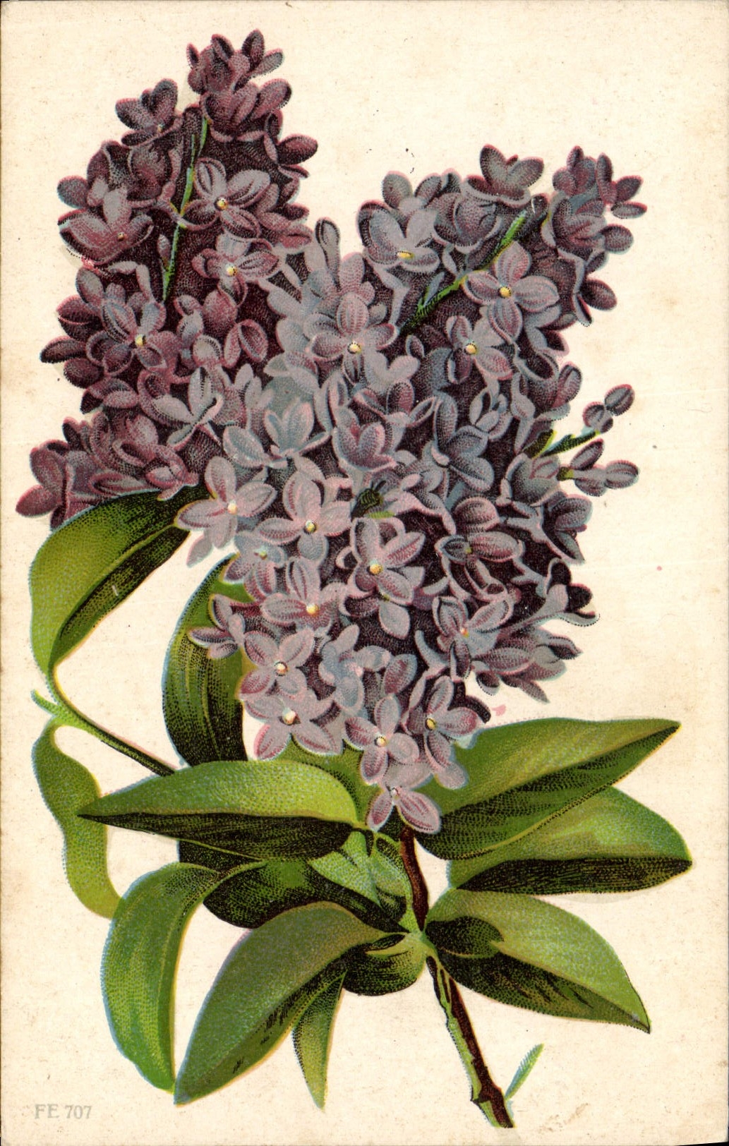 CPA Fantaisie Fleurs 