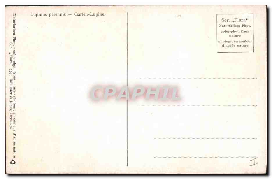 CPA Fantaisie Fleurs  — Rückseite