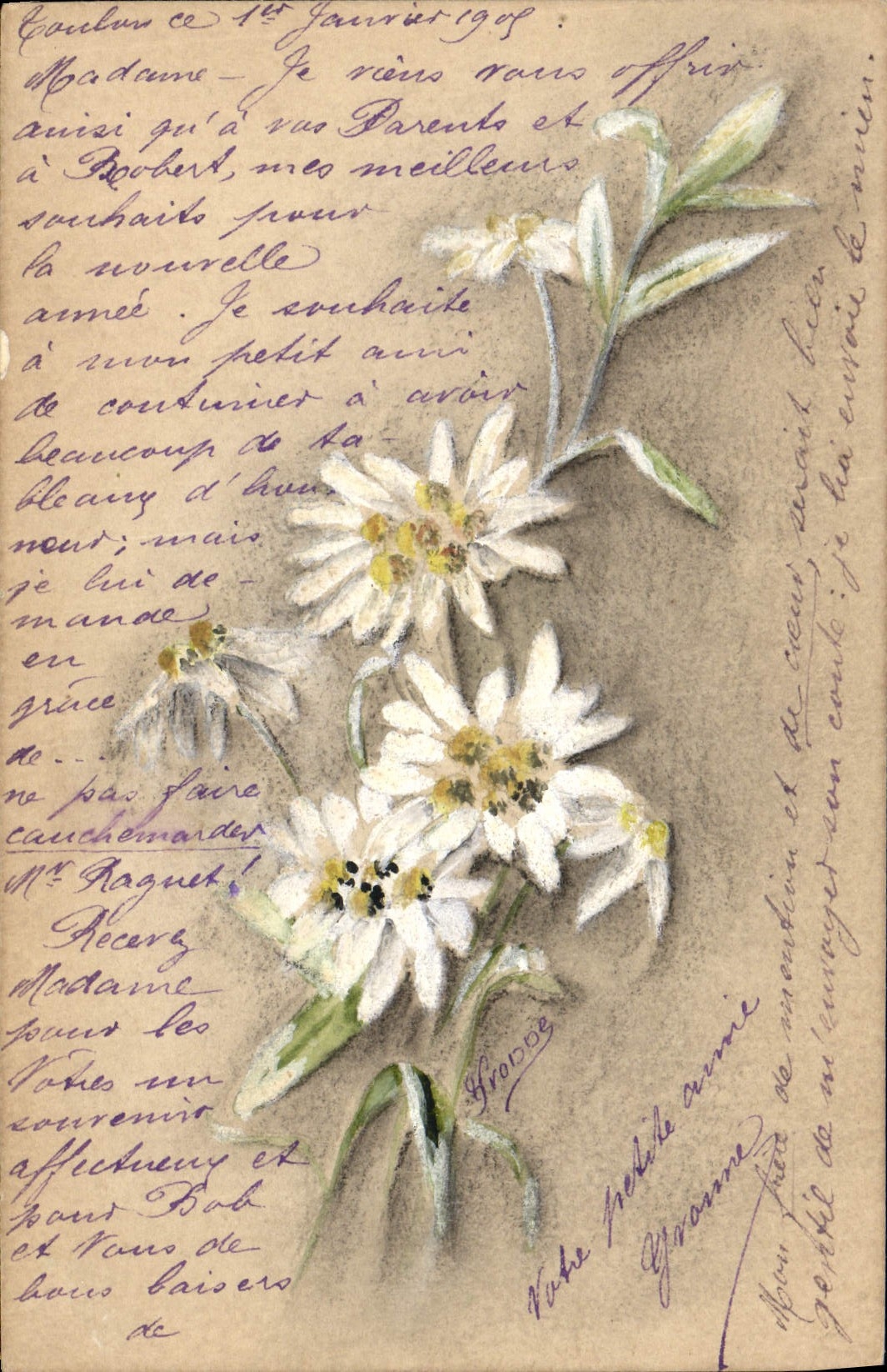 Fleurs blanches — illustration — Carte postale française