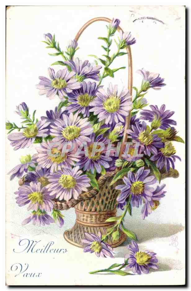 Bouquet d'asters violets — dans un panier tressé — éditeur non identifié