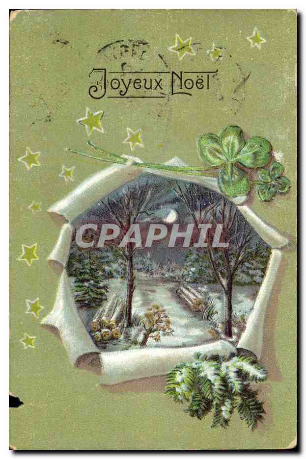 CPA Fantaisie Fleurs 
