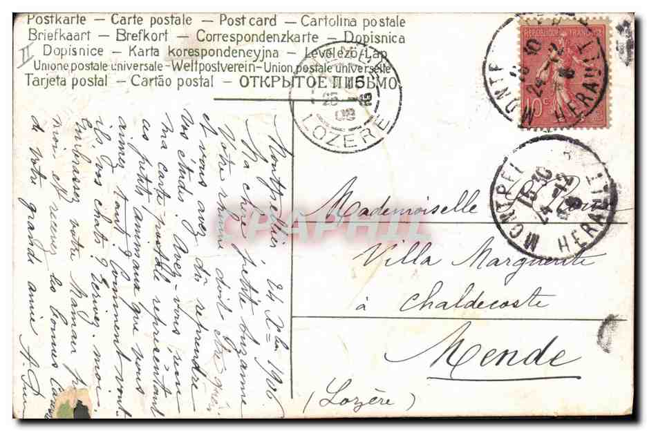CPA Fantaisie Fleurs  — Verso