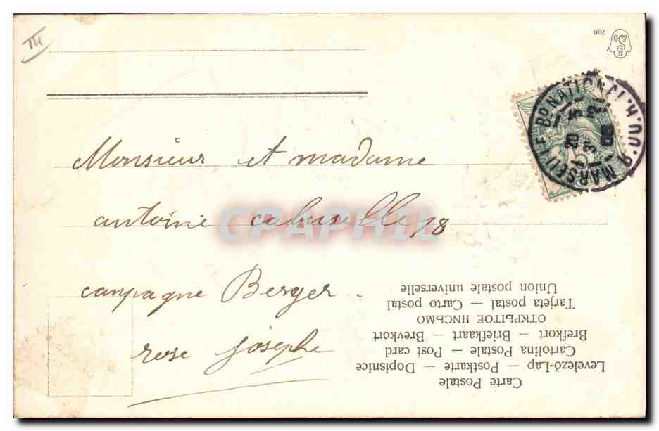 Fleurs et coccinelle — Félicitations pour la nouvelle année — Carte postale universelle — Reverso