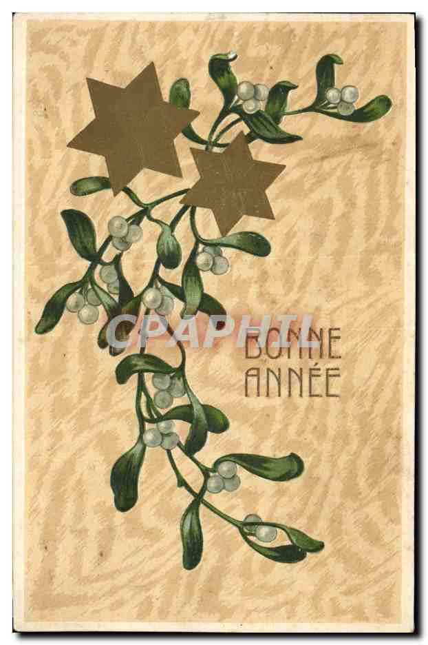 CPA Fantaisie Fleurs Bonne anee