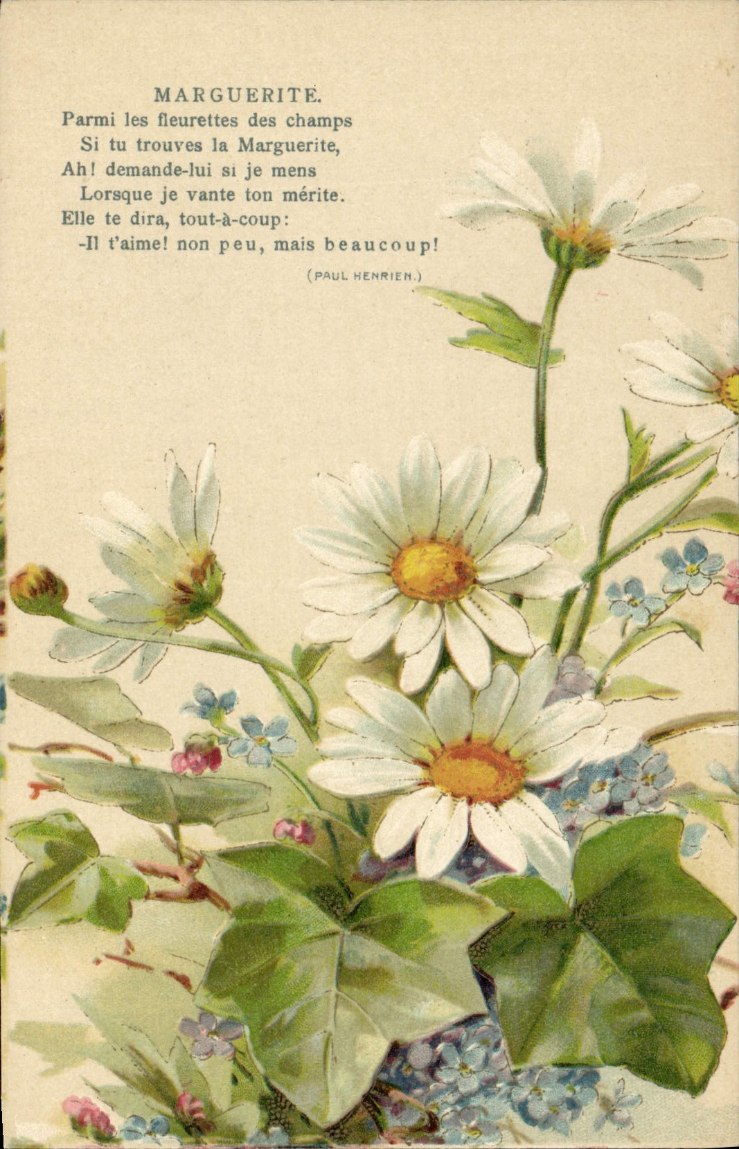 CPA Fantaisie Fleurs Marguerite
