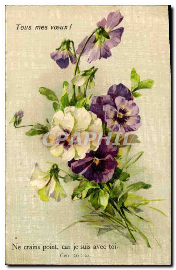CPA Fantaisie Fleurs 