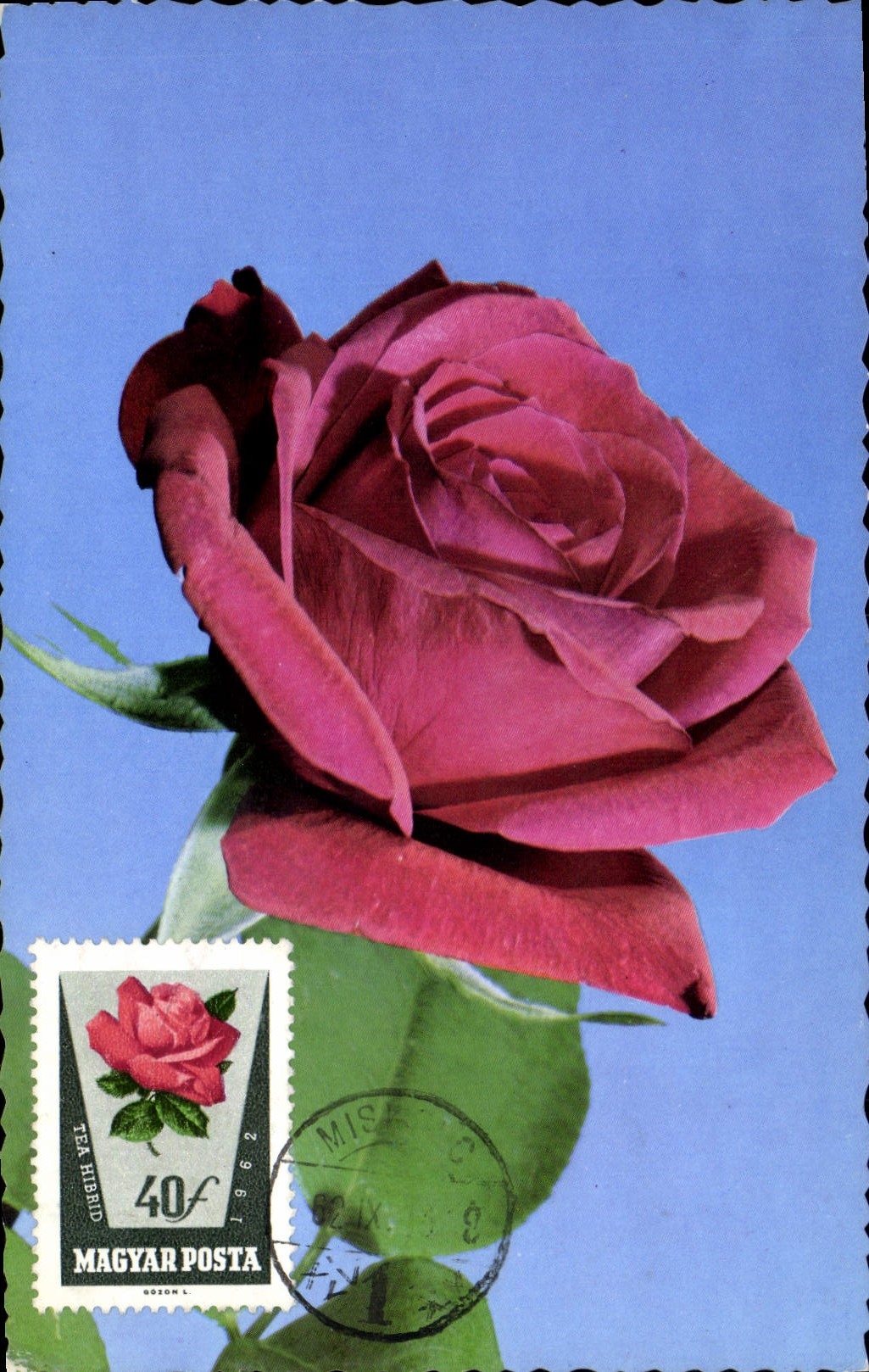 CARTE MAXIMUM Hongrie Fantaisie Fleurs 