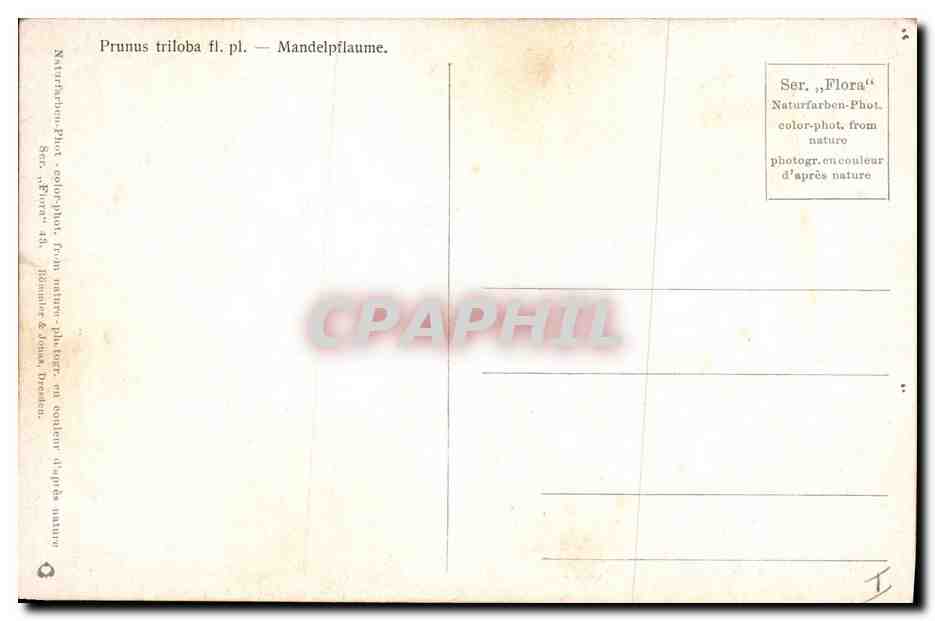 CPA Fantaisie Fleurs  — Rückseite