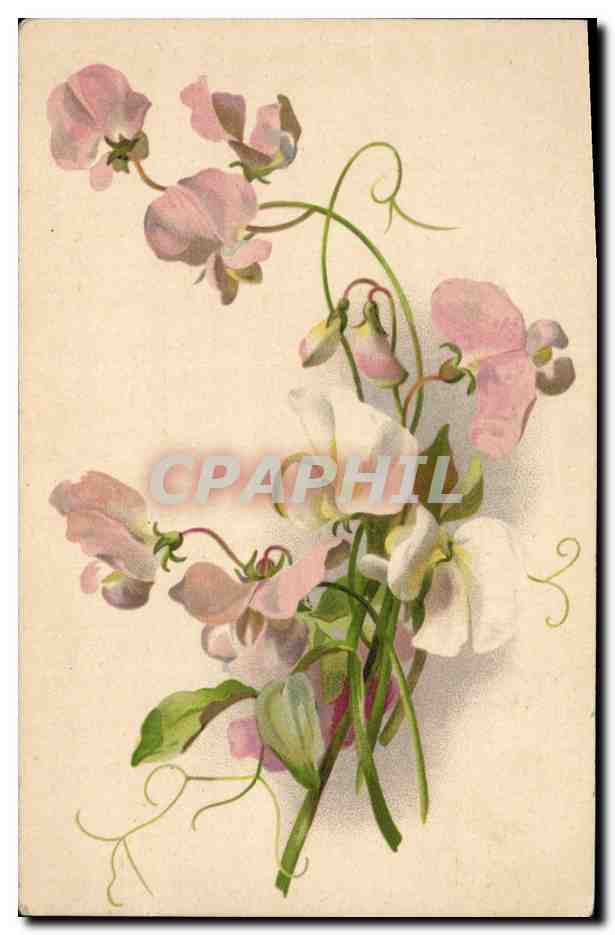 CPA Fantaisie Fleurs 