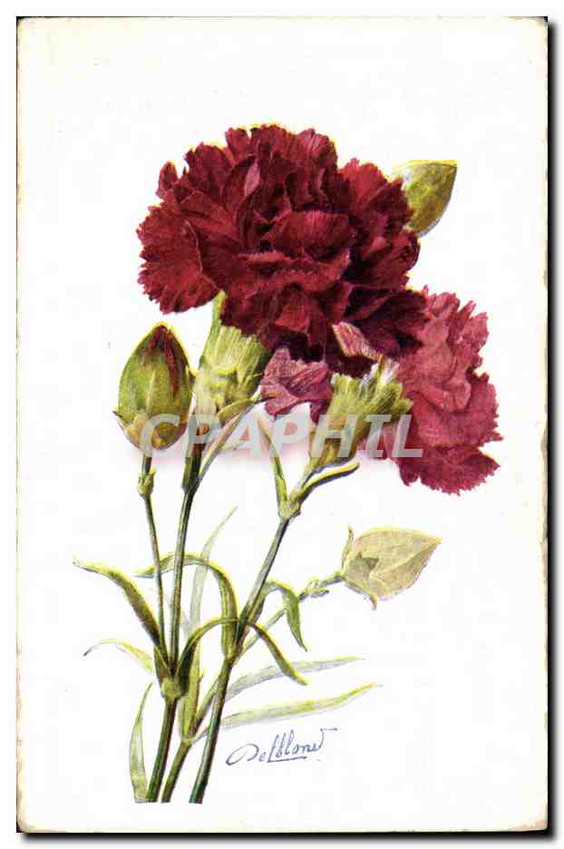 CPA Fantaisie Fleurs 