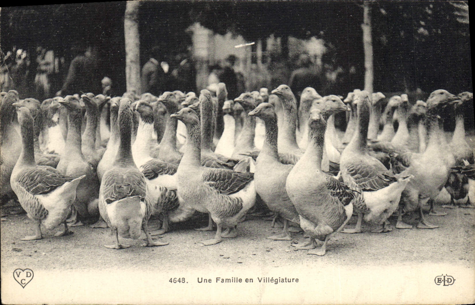 Une Famille en Villégiature — 4648 — V.D.C. (éditeur)