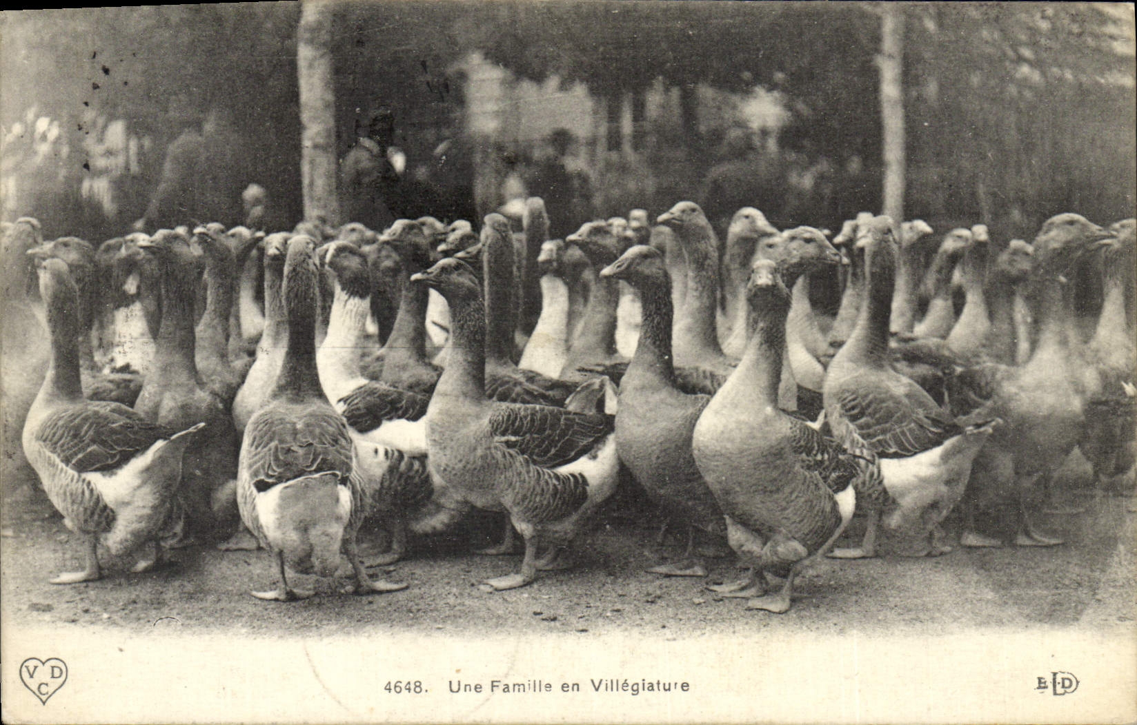 Une Famille en Villégiateure — 4648 — VD C
