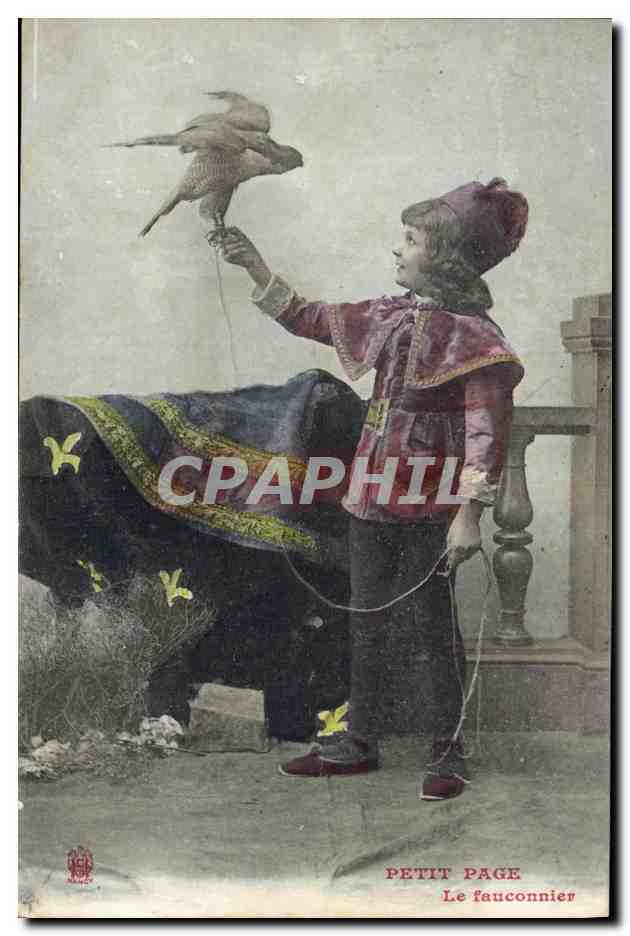 CPA Oiseaux Petit Page Le fauconnier Faucon Rapace