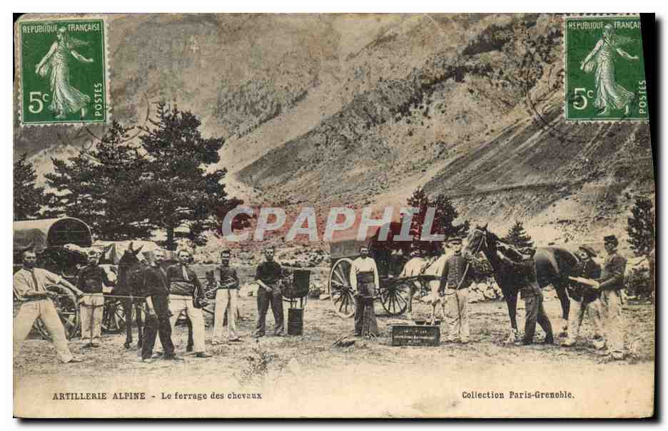 Artillerie Alpine - Le ferrage des chevaux — Collection Paris-Grenoble