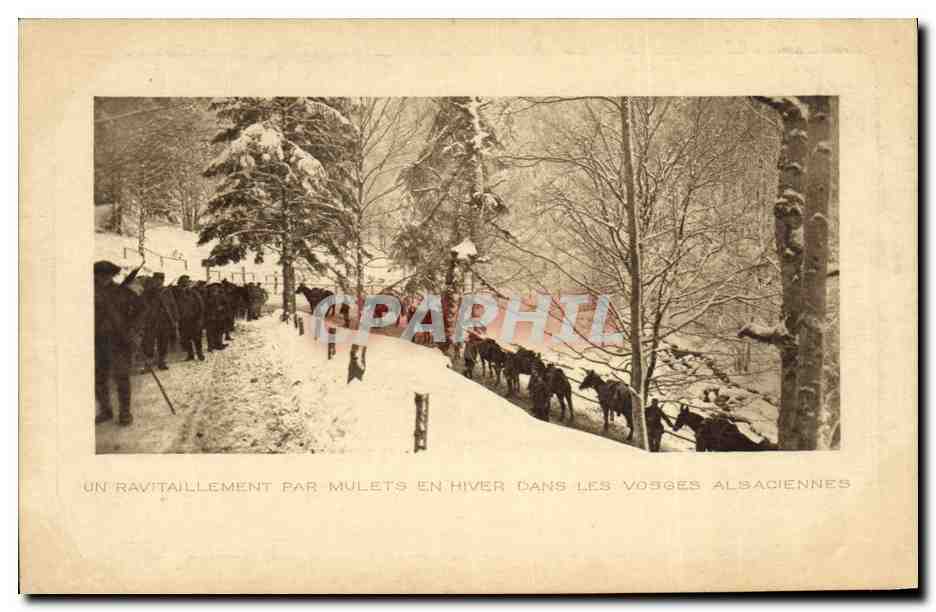 Un ravitaillement par mulets en hiver dans les Vosges alsaciennes — Paul EHKIRCH & Cie, Saint-Thann