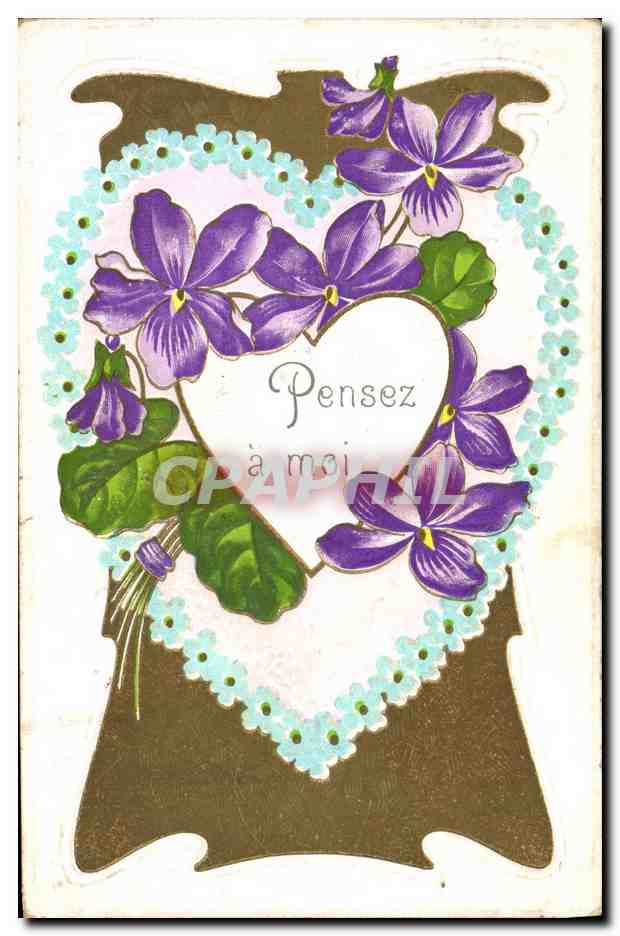 Violets — Pensez à moi — éditeur non visible