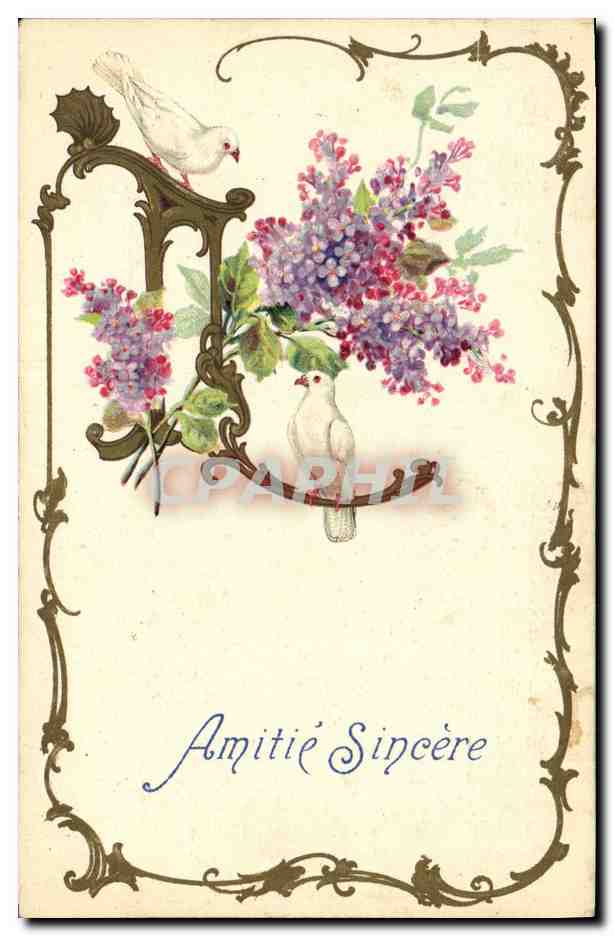 CPA Fantaisie Fleurs Colombe
