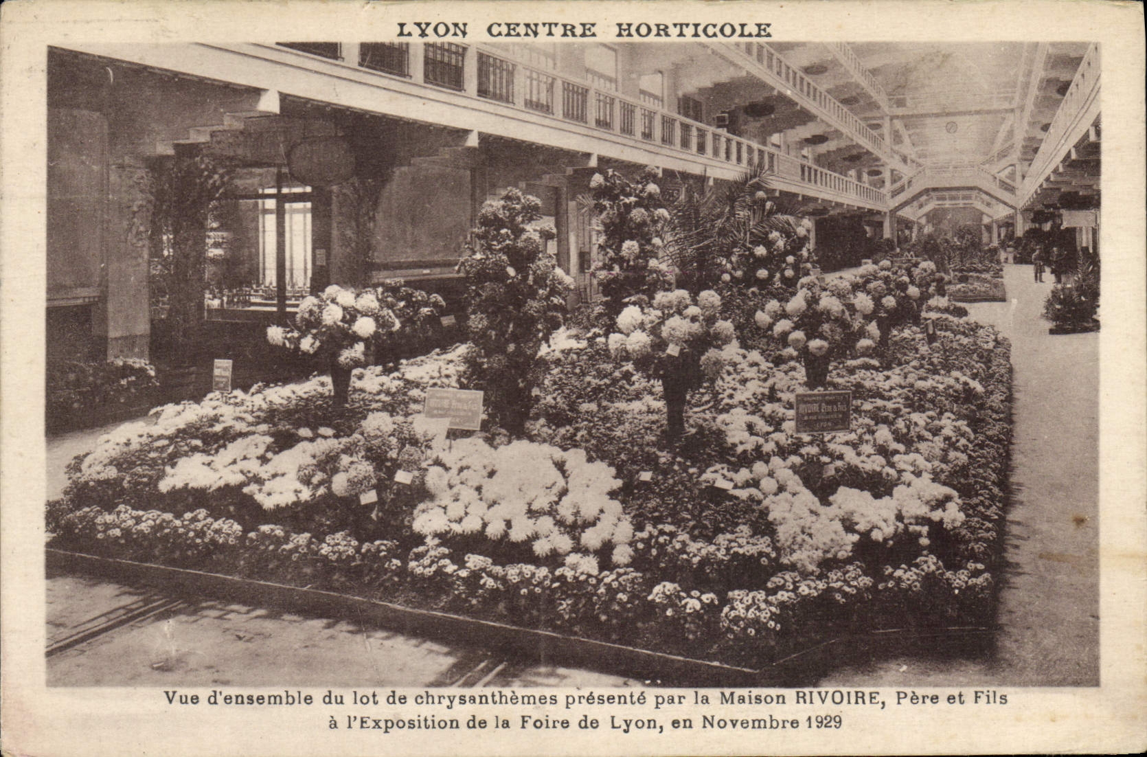 Lyon Centre Horticole — Esposizione della Fiera di Lyon, novembre 1929 — Maison Rivoire, Padre e Figlio