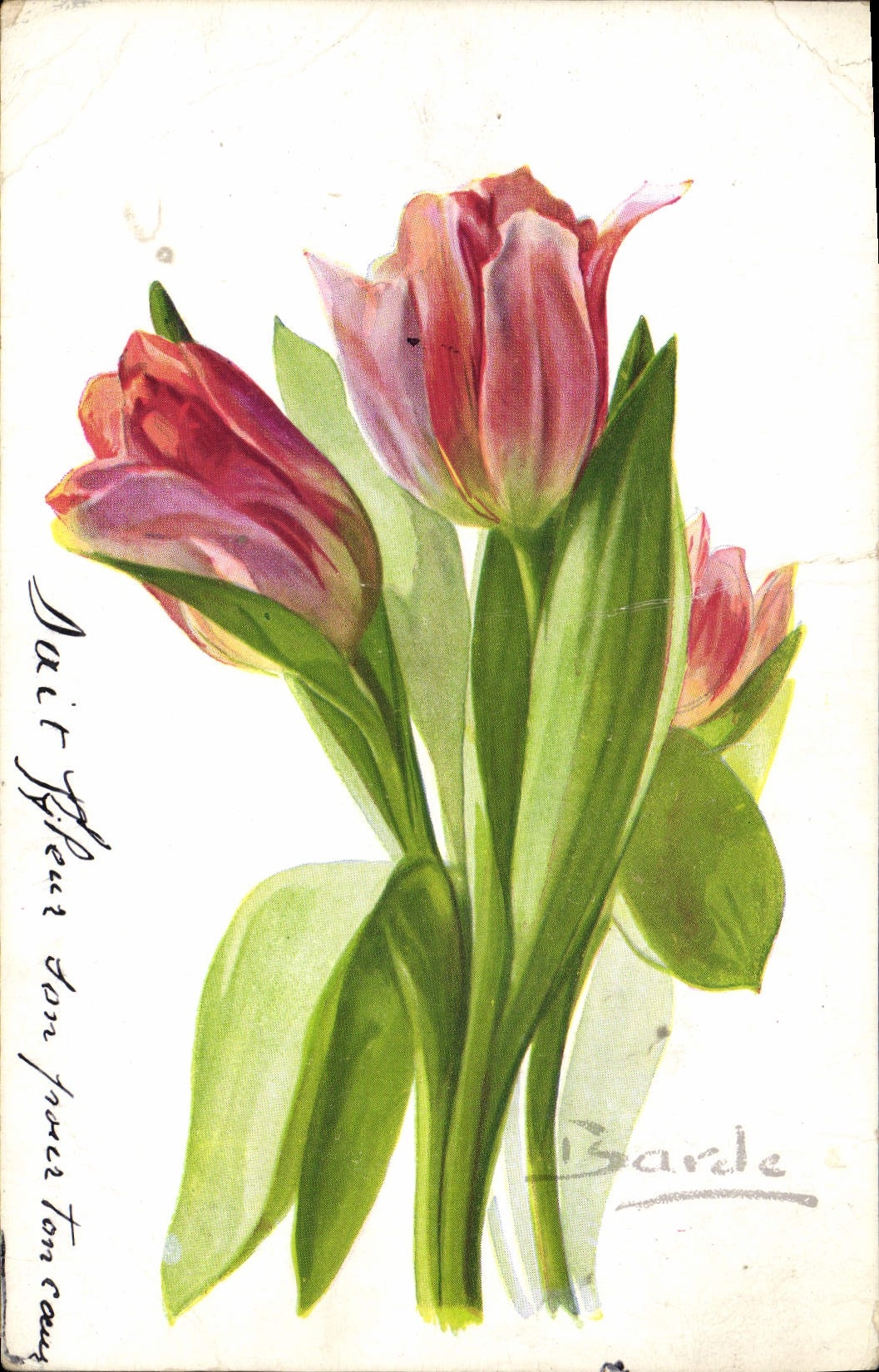 CPA Fleurs 