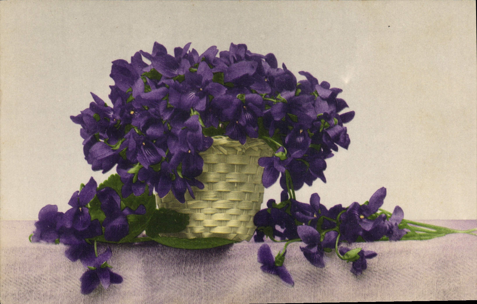 CPA Fleurs 