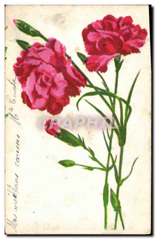 CPA Fleurs 